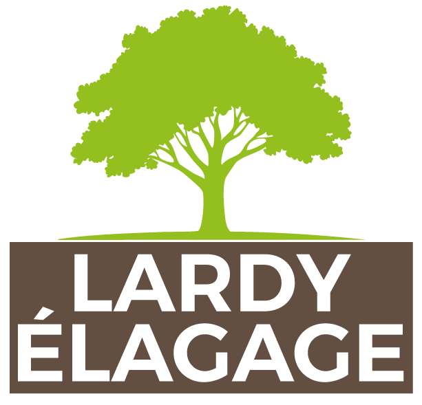 LARDY ELAGAGE